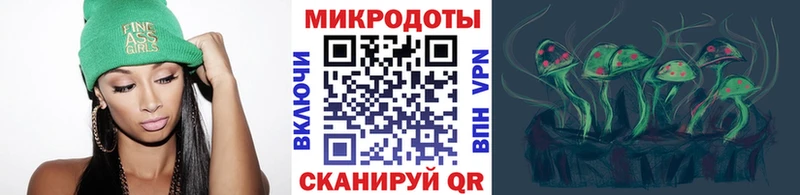 Купить где  Шацк  Псилоцибиновые грибы GOLDEN TEACHER 