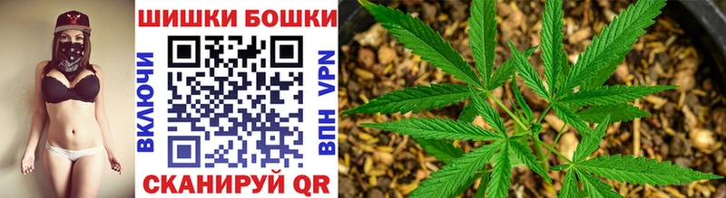 Канабис ГИДРОПОН  Купить  Шацк 